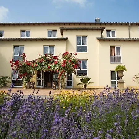地中海珍宝酒店 3* Karlstein am Main
